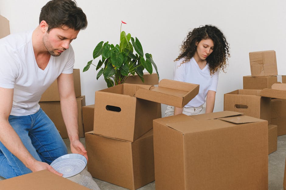 A professional removal team member, dressed in a dark uniform, is inside a bright, spacious room with light-colored walls and large arched windows, carrying two medium-sized cardboard boxes with red a